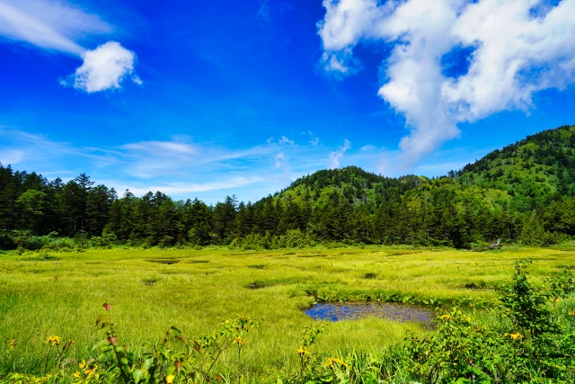 【推奨写真】志賀高原の高層湿原と池— 秋の紅葉に染まる横手山や琵琶池