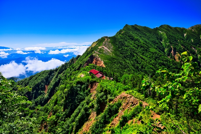 【推奨写真】爺ヶ岳山頂から見た鹿島槍ヶ岳の双耳峰— 快晴時の朝焼けが理想的